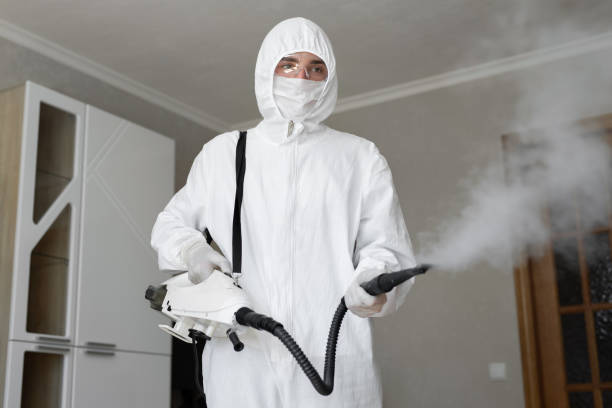 Best Mold Removal for HVAC Installations  in USA